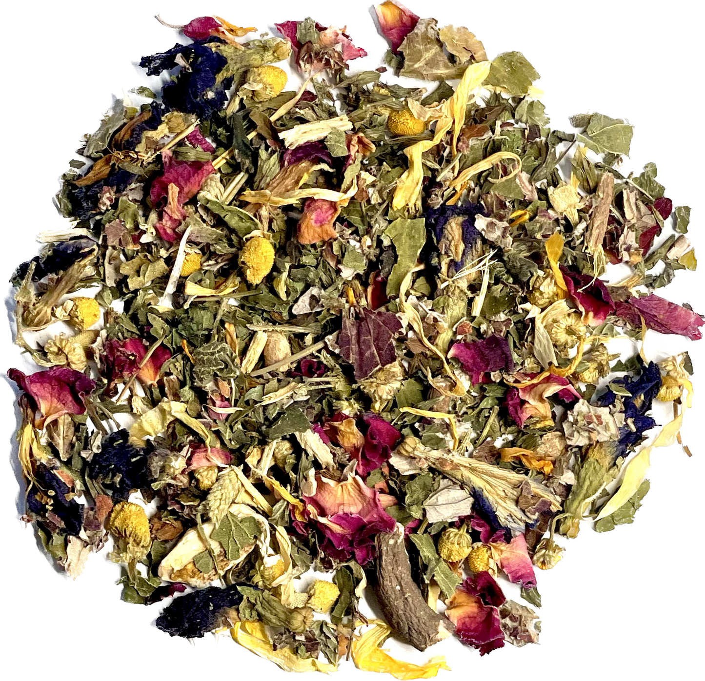 WOMEN'S BUSINESS BUNDLE